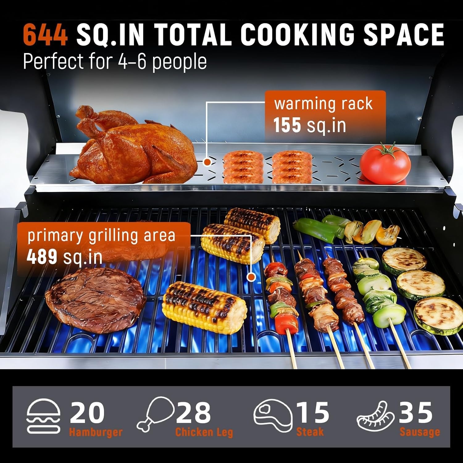 Six Burner Propane Grill 60000 BTU Outdoor Grilling