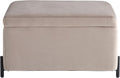 Connor Thirty One Point One Inch Taupe Velvet Storage Ottoman