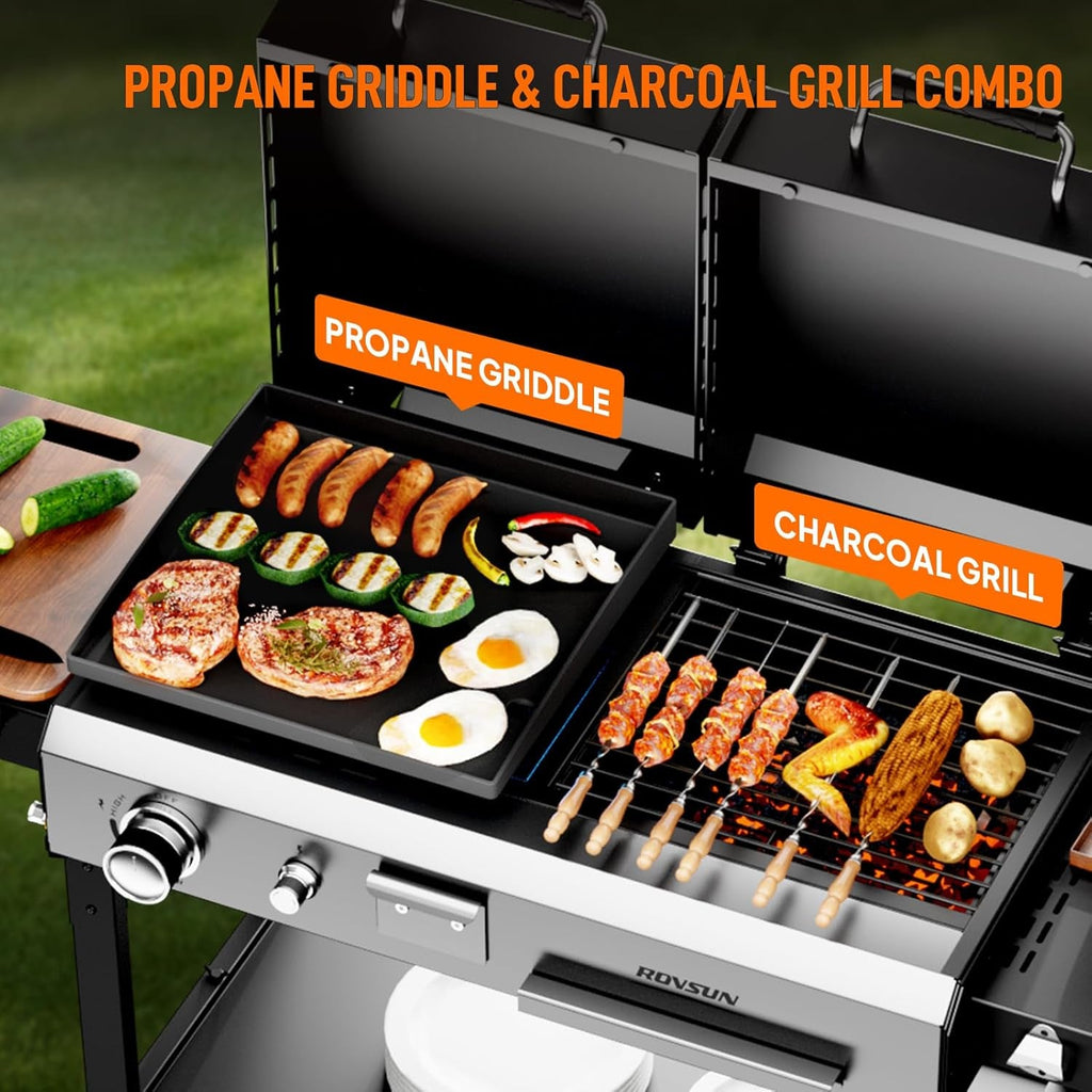 Propane Charcoal Grill Multifunctional Lid Outdoor Backyard
